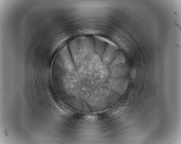 X0000097770352200803281645