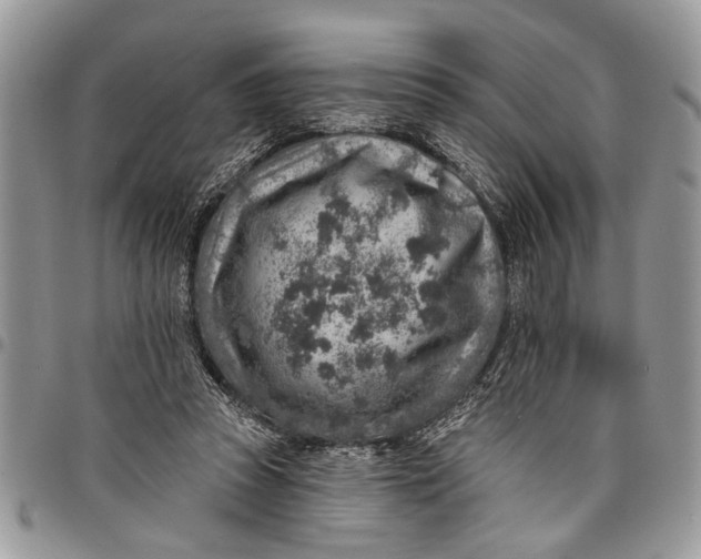 X0000097770353200803281645