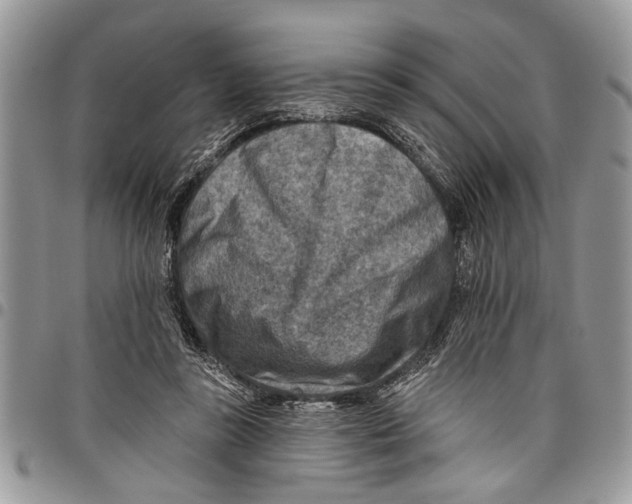 X0000097770355200803281645