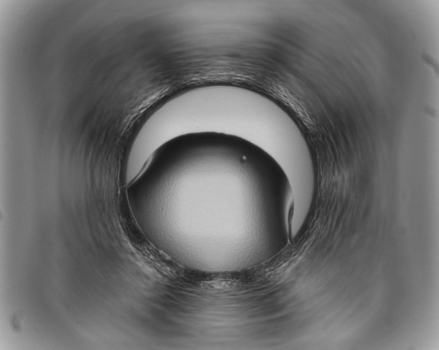 X0000097770356200803281645