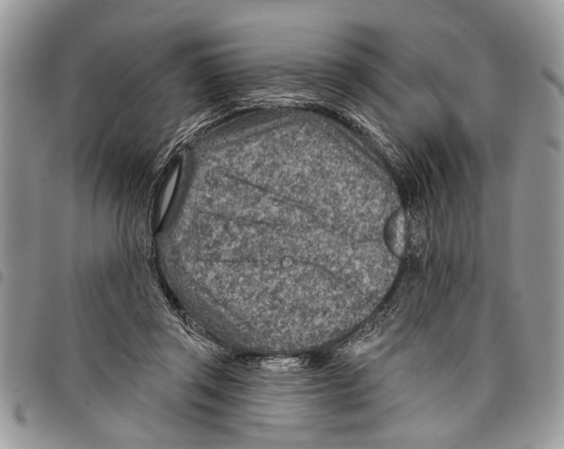 X0000097770357200803281645