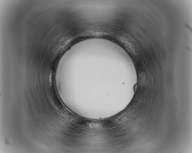 X0000097770358200803281645