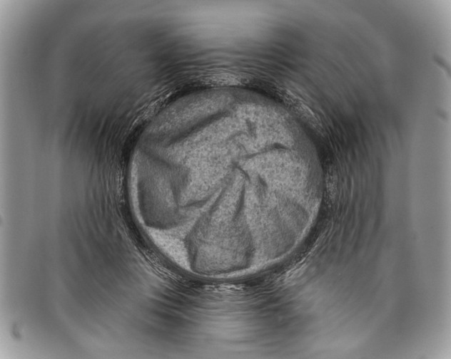 X0000097770359200803281645