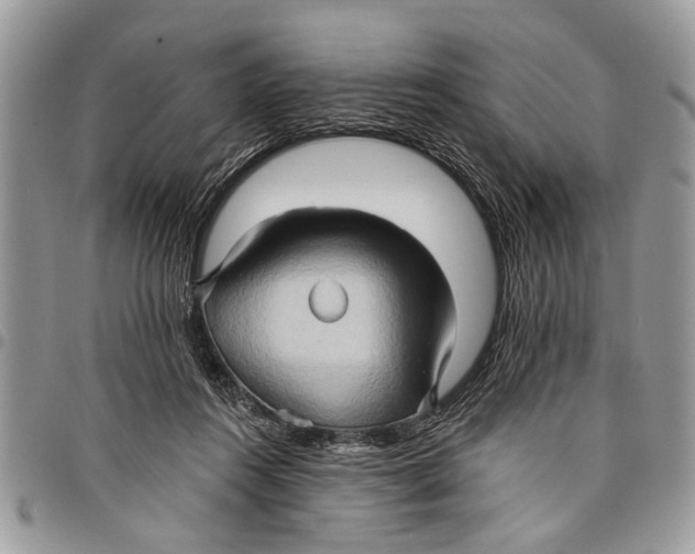 X0000097770360200803281645