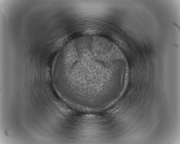 X0000097770361200803281645