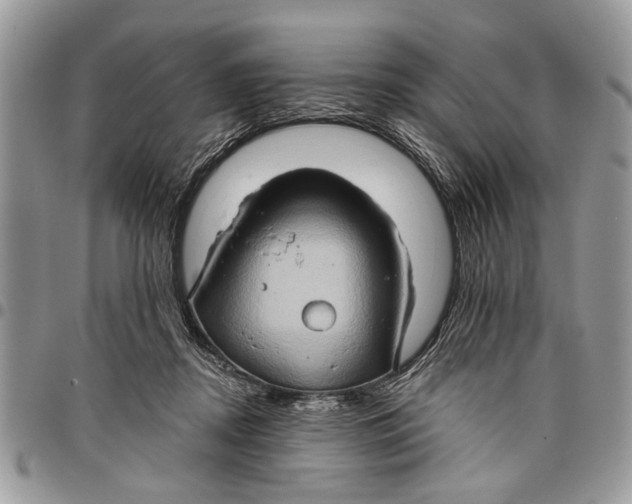 X0000097770362200803281645