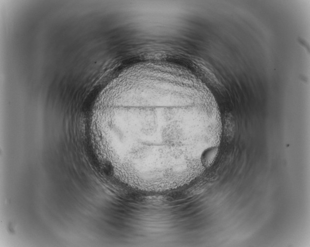 X0000097770363200803281645