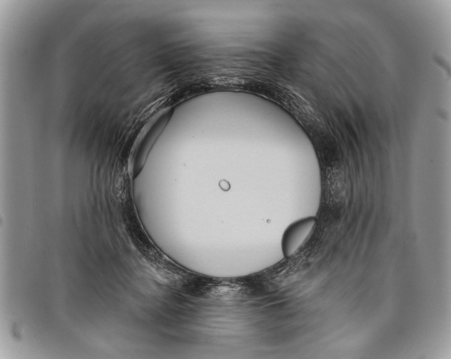 X0000097770364200803281645