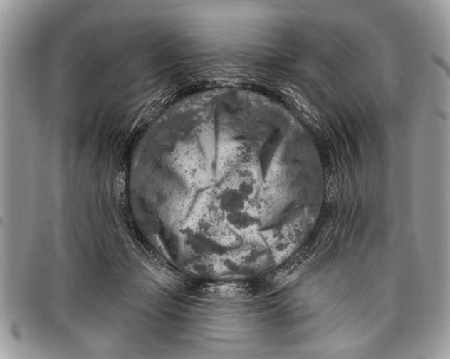 X0000097770365200803281645