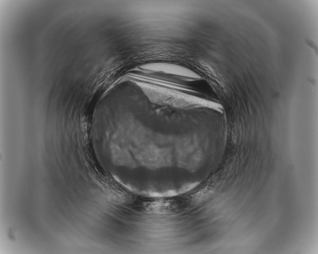 X0000097770366200803281645