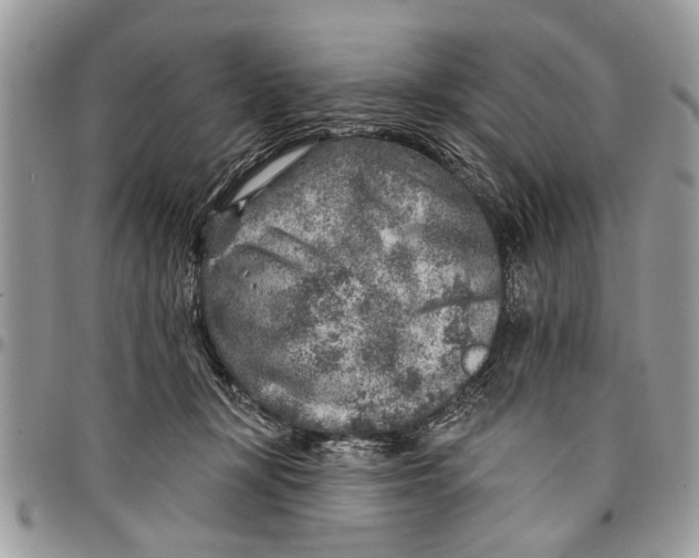 X0000097770367200803281645