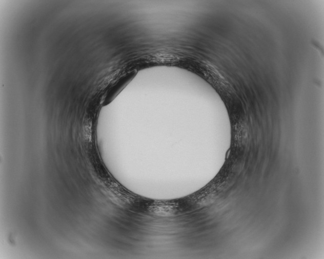 X0000097770368200803281645