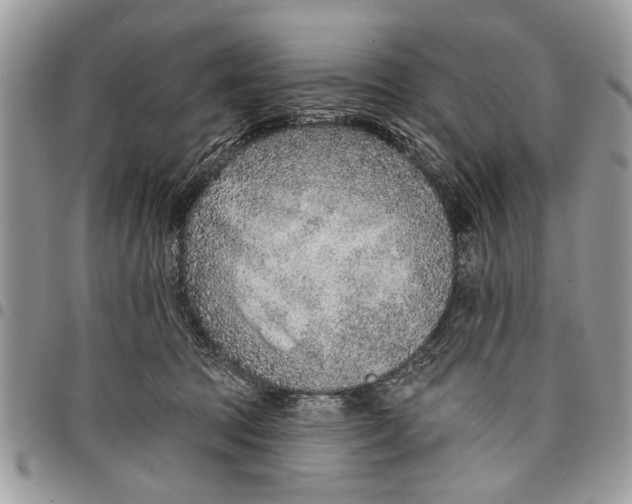 X0000097770369200803281645