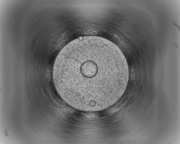 X0000097770370200803281645