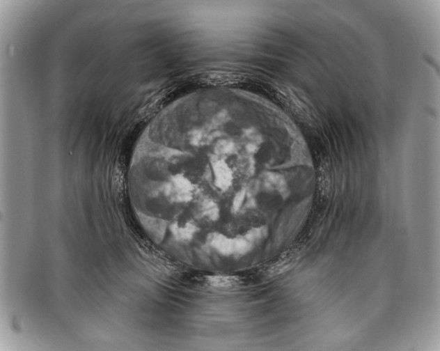 X0000097770371200803281645