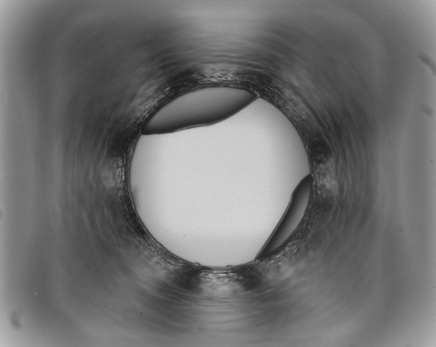 X0000097770372200803281645