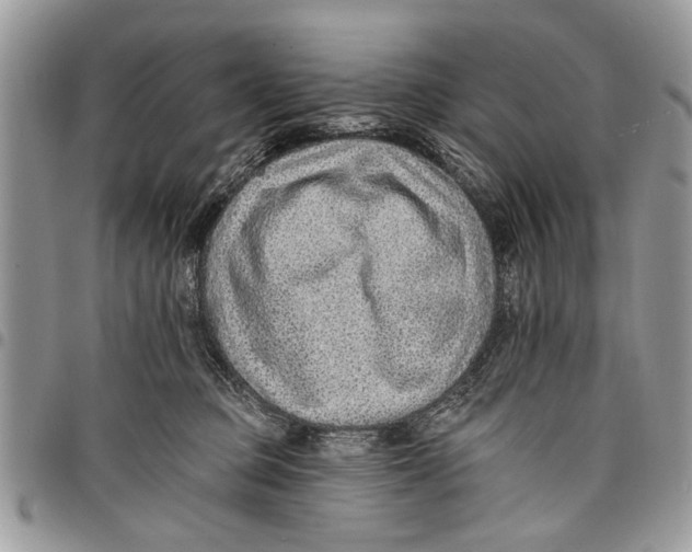 X0000097770373200803281645