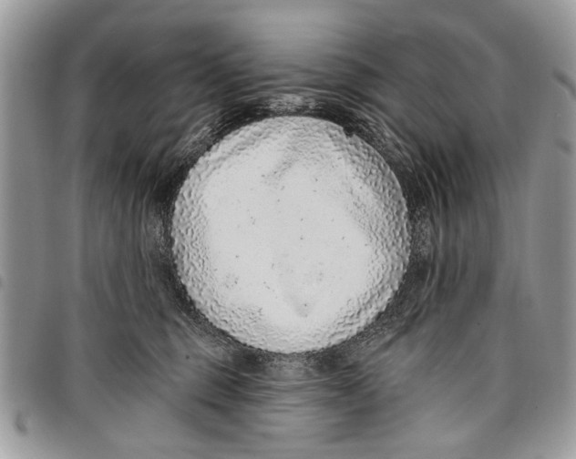 X0000097770375200803281645