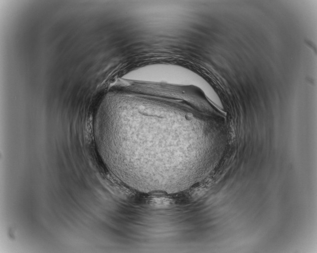 X0000097770376200803281645