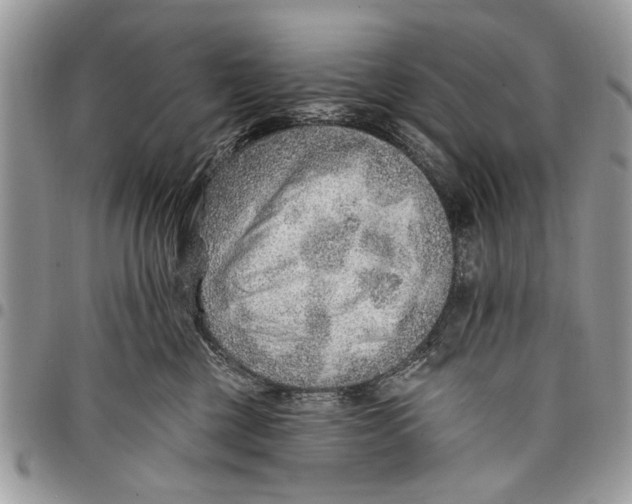 X0000097770377200803281645