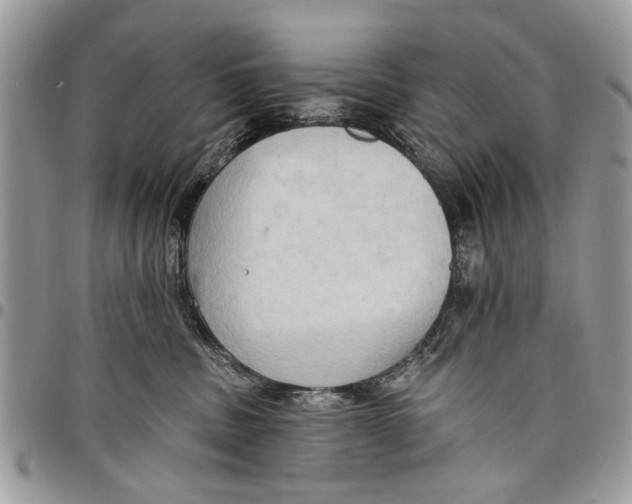 X0000097770379200803281645