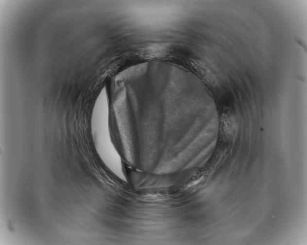 X0000097770380200803281645