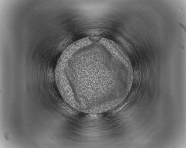 X0000097770381200803281645