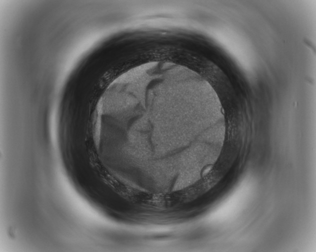 X0000097770383200803281645