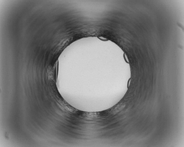 X0000097770384200803281645