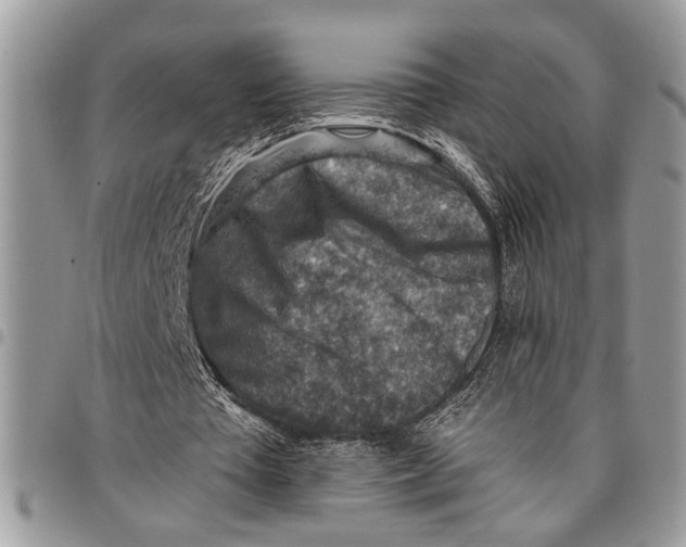 X0000097770385200803281644