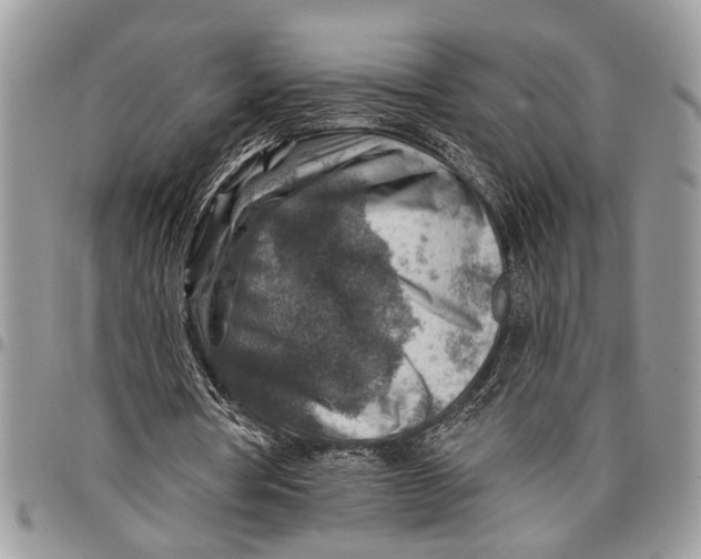 X0000097770386200803281644