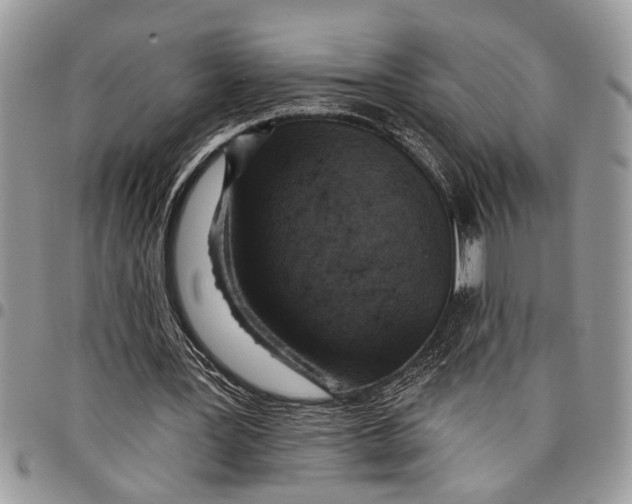 X0000097770387200803281644