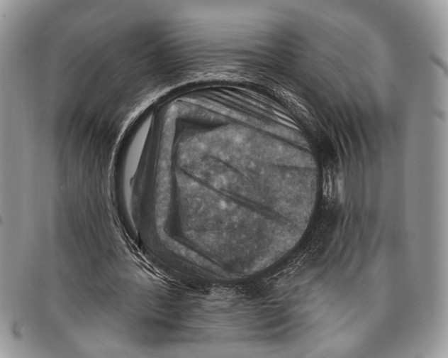 X0000097770388200803281644