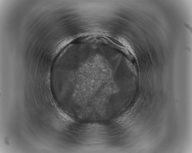 X0000097770389200803281644