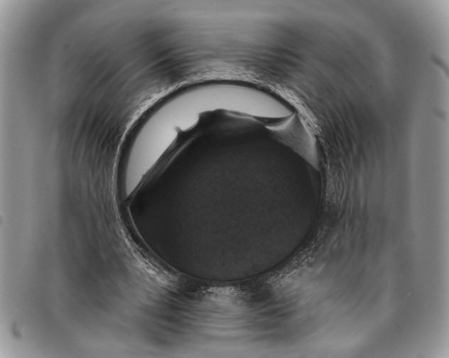 X0000097770391200803281644