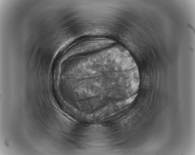 X0000097770392200803281644