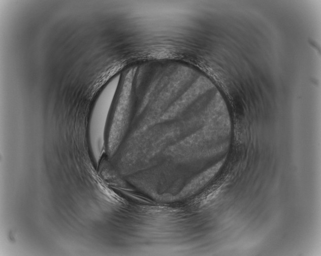 X0000097770393200803281644