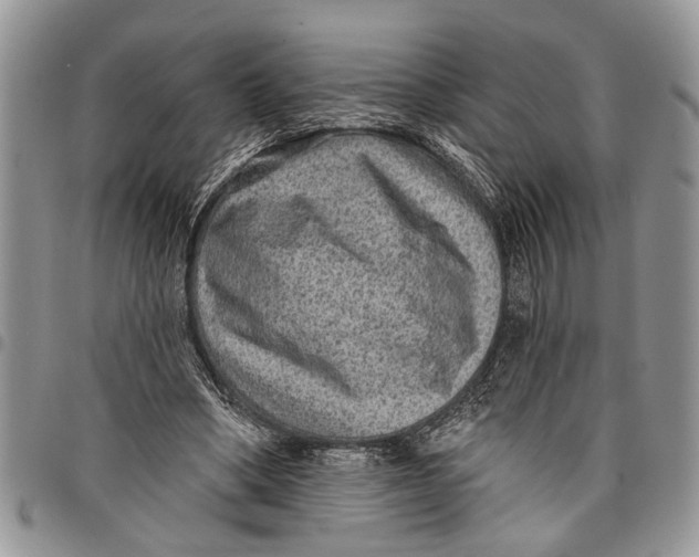 X0000097770394200803281644