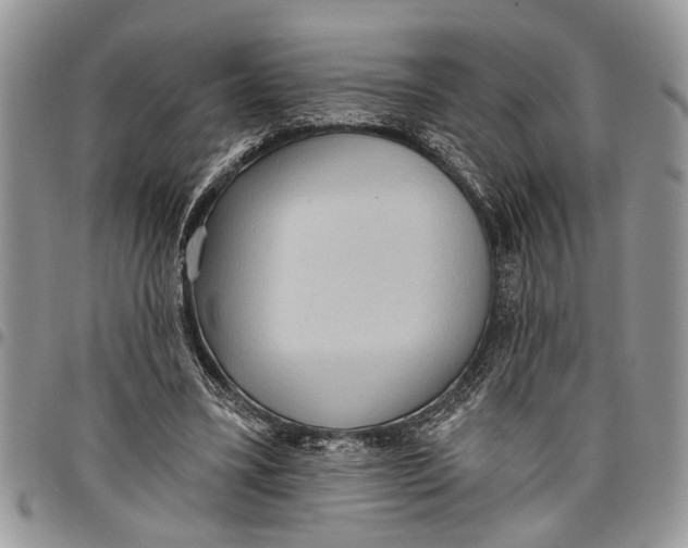 X0000097770395200803281644