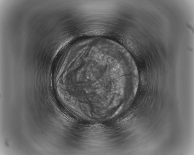 X0000097770396200803281644