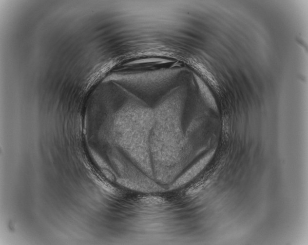 X0000097770397200803281644