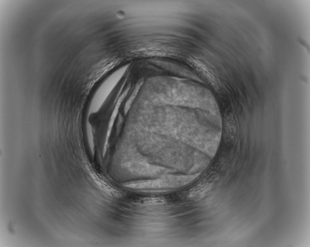 X0000097770398200803281644