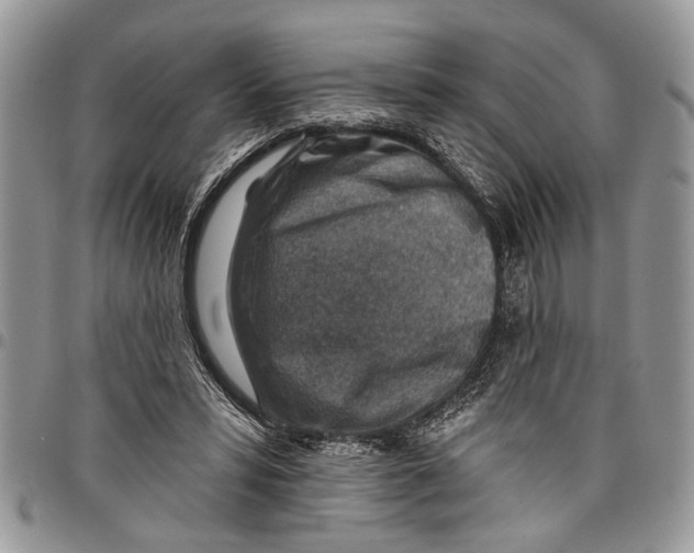 X0000097770399200803281644