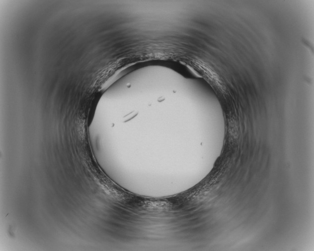 X0000097770401200803281644