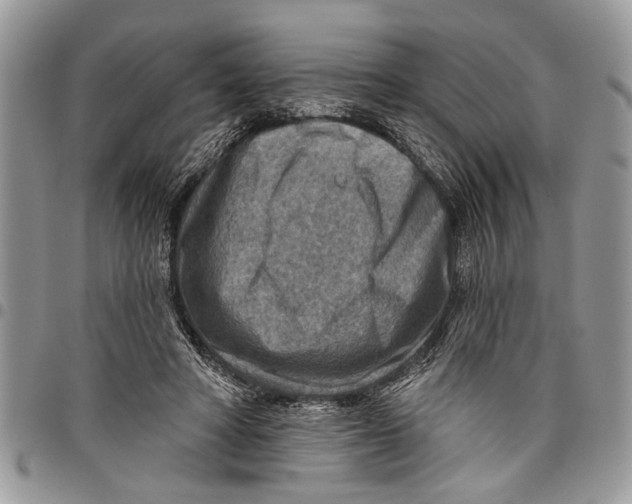 X0000097770402200803281644