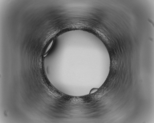 X0000097770403200803281644