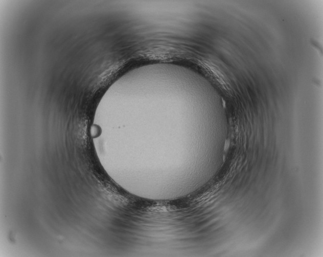 X0000097770404200803281644