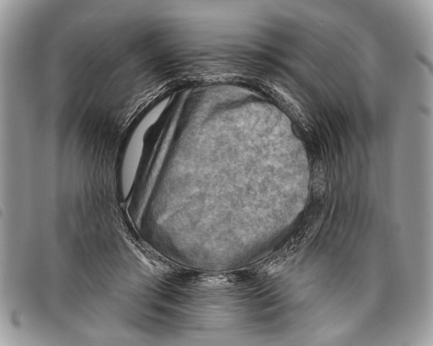 X0000097770405200803281644