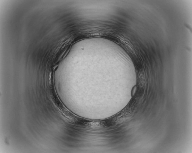 X0000097770406200803281644