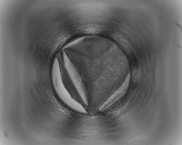 X0000097770407200803281644